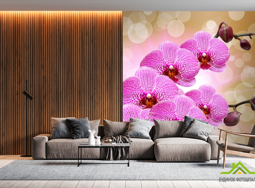выбрать Фотообои Ярко-розовые орхидеи Фотообои Орхидеи на стену