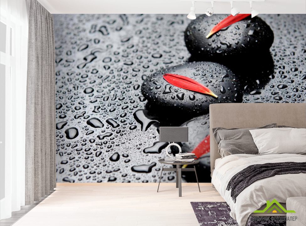 выбрать Фотообои Лепестки, камни, капли Фотообои Цветы на стену