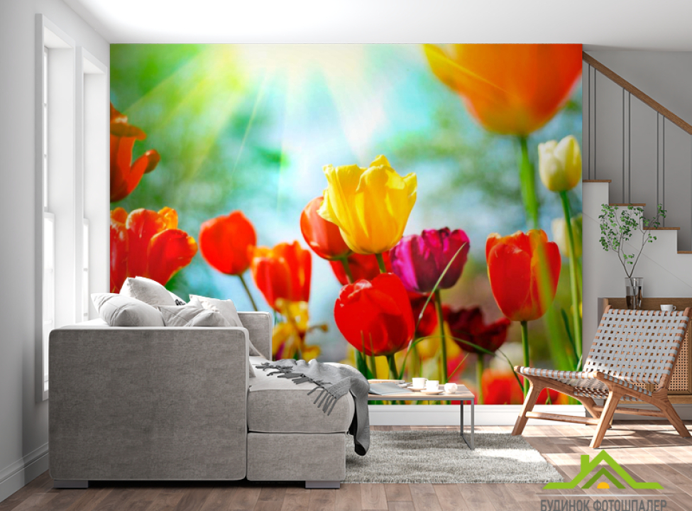 выбрать Фотообои Тюльпаны разноцветные Фотообои Тюльпаны на стену