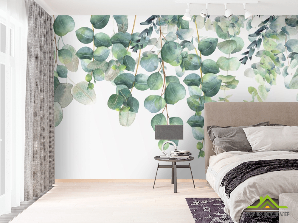 Фотошпалери Евкаліптові листя