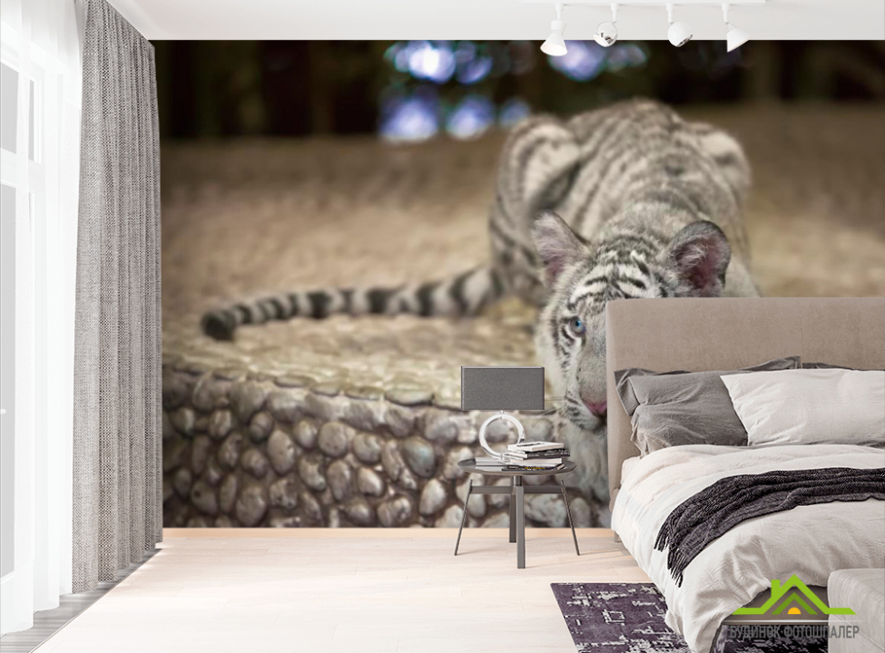 выбрать Фотошпалери Тигр, що причаївся Фотошпалери Тигри на стіну