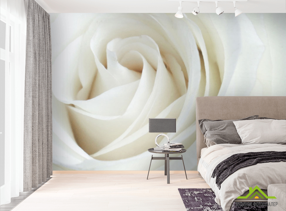 выбрать Фотообои Белая роза Фотообои Цветы на стену