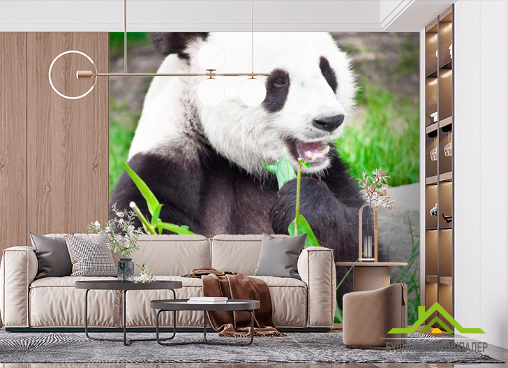 Фотообои Отдыхающая панда