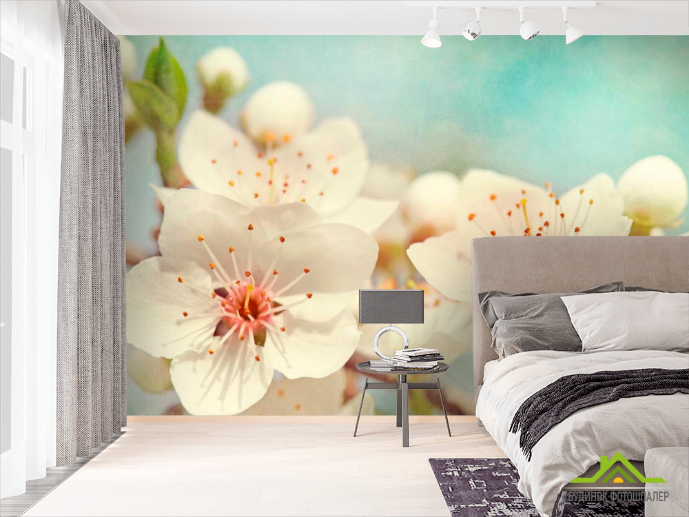 Фотошпалери Суцвіття квітів черешні