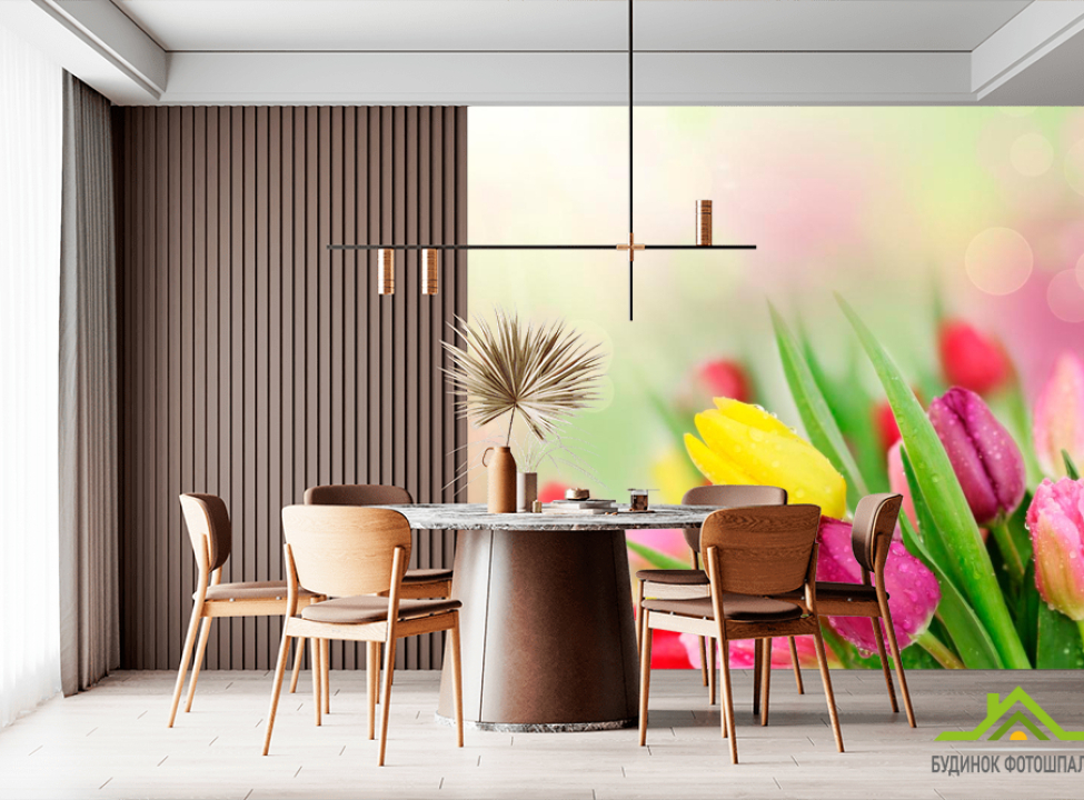 выбрать Фотообои Тюльпаны разных цветов Фотообои Тюльпаны на стену