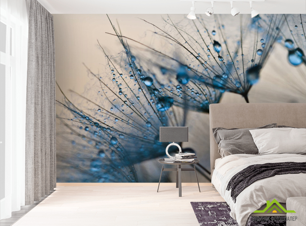 выбрать Фотошпалери кульбаби Фотошпалери Квіти на стіну