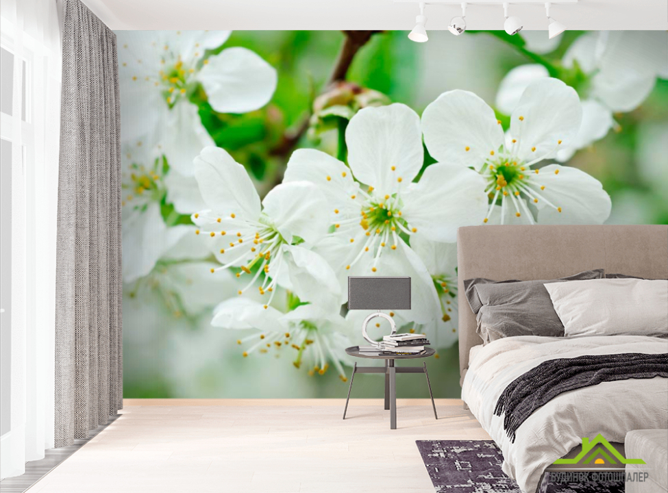 выбрать Фотошпалери Фотошпалери цвіте Черешня Фотошпалери Квіти на стіну