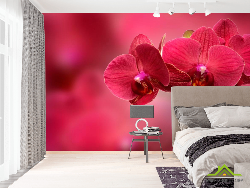 Фотообои Красные орхидеи