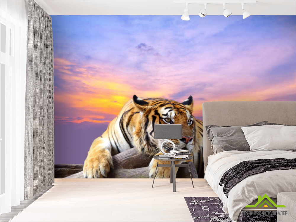 Фотошпалери тигр