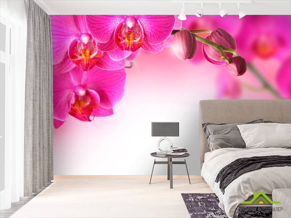 Фотошпалери Гілочка рожевих орхідей