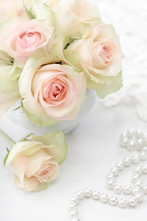 Фотообои Белые розы