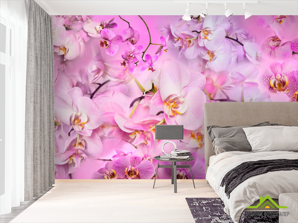 Фотообои Дизайнерская коллекция