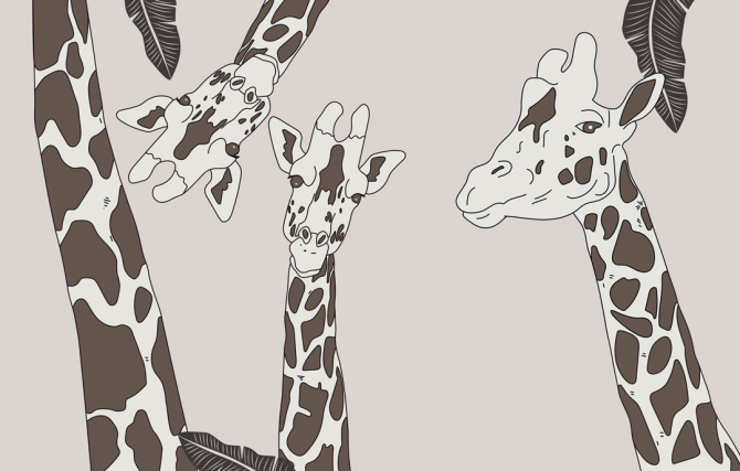 Фотошпалери дитяча жирафи