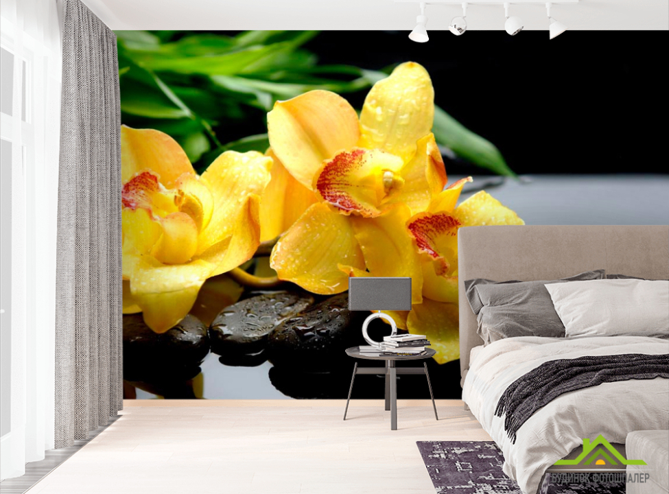 выбрать Фотообои Орхидея Фотообои Орхидеи на стену