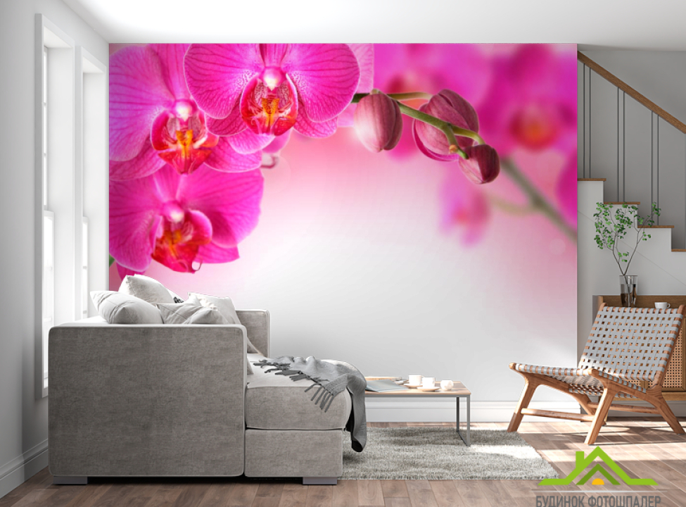 выбрать Фотообои Веточка орхидей розовых Фотообои Орхидеи на стену