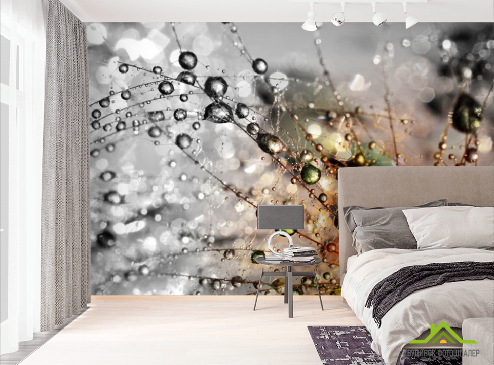 выбрать Фотообои Одуванчик с росой Фотообои Цветы на стену