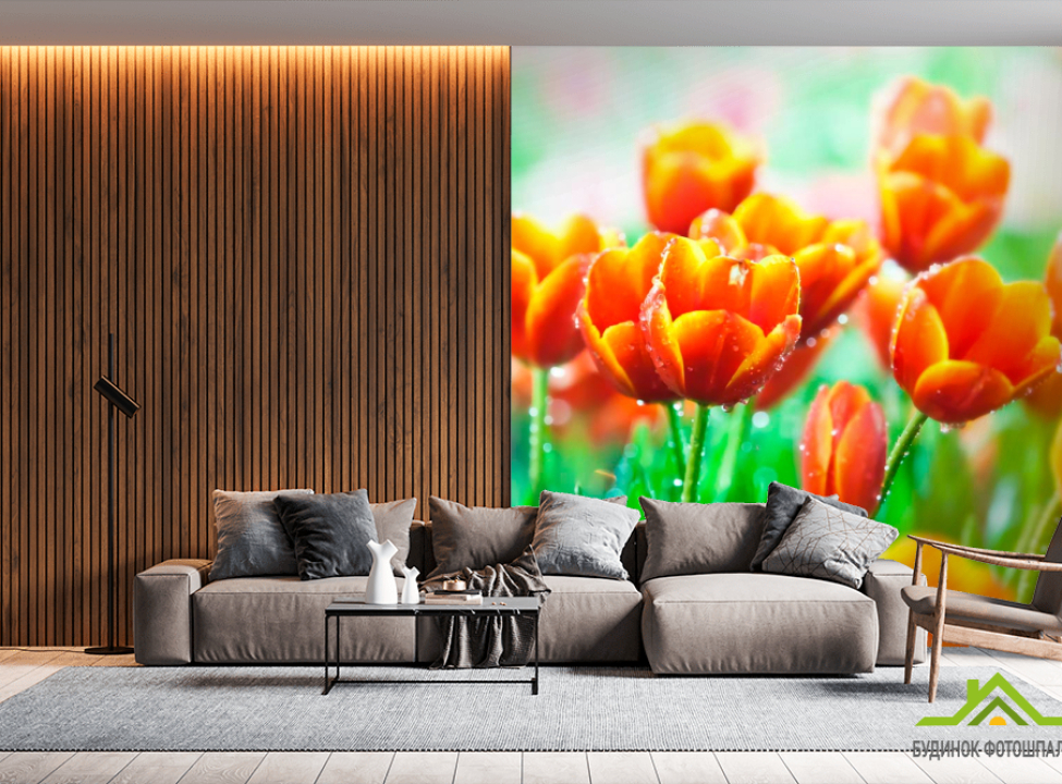 выбрать Фотообои Красно-желтые тюльпаны Фотообои Тюльпаны на стену