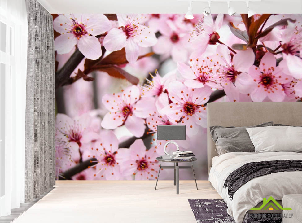 выбрать Фотообои Цветущее весной деревце Фотообои Цветы на стену