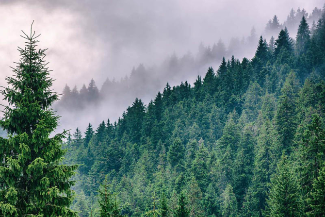 Фотообои Туманные горы