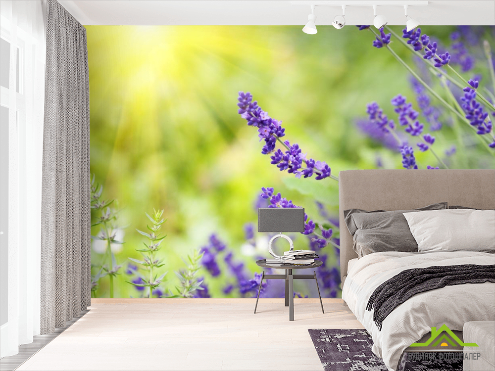 Фотошпалери сині польові квіти