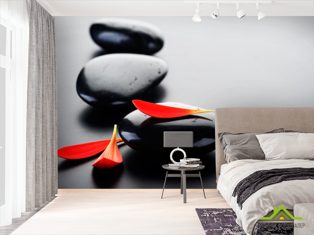 Фотообои Лепестки и камни