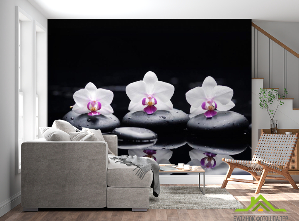 выбрать Фотообои Орхидея Фотообои Цветы на стену