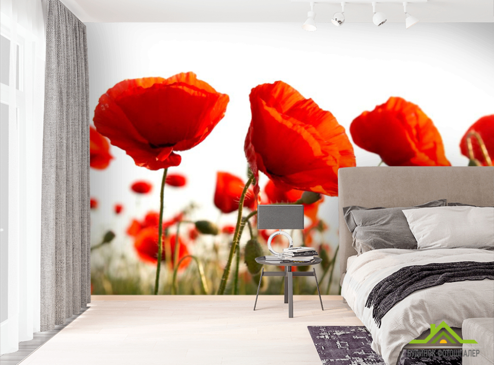 выбрать Фотошпалери Маків червоних полі Фотошпалери Маки на стіну