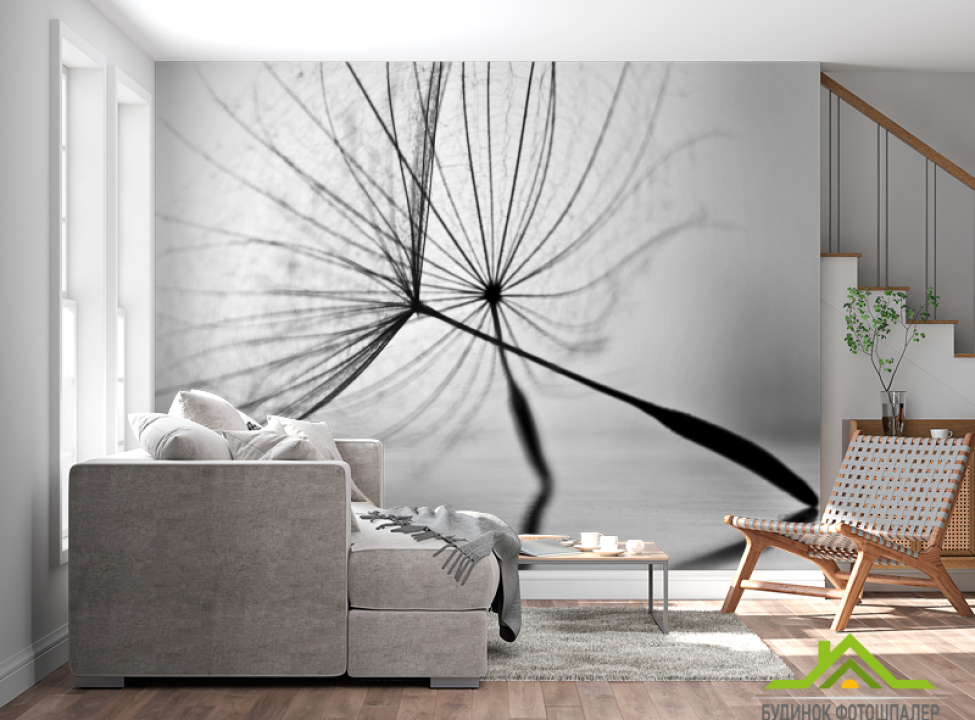 выбрать Фотошпалери насіння кульбаби Фотошпалери Квіти на стіну