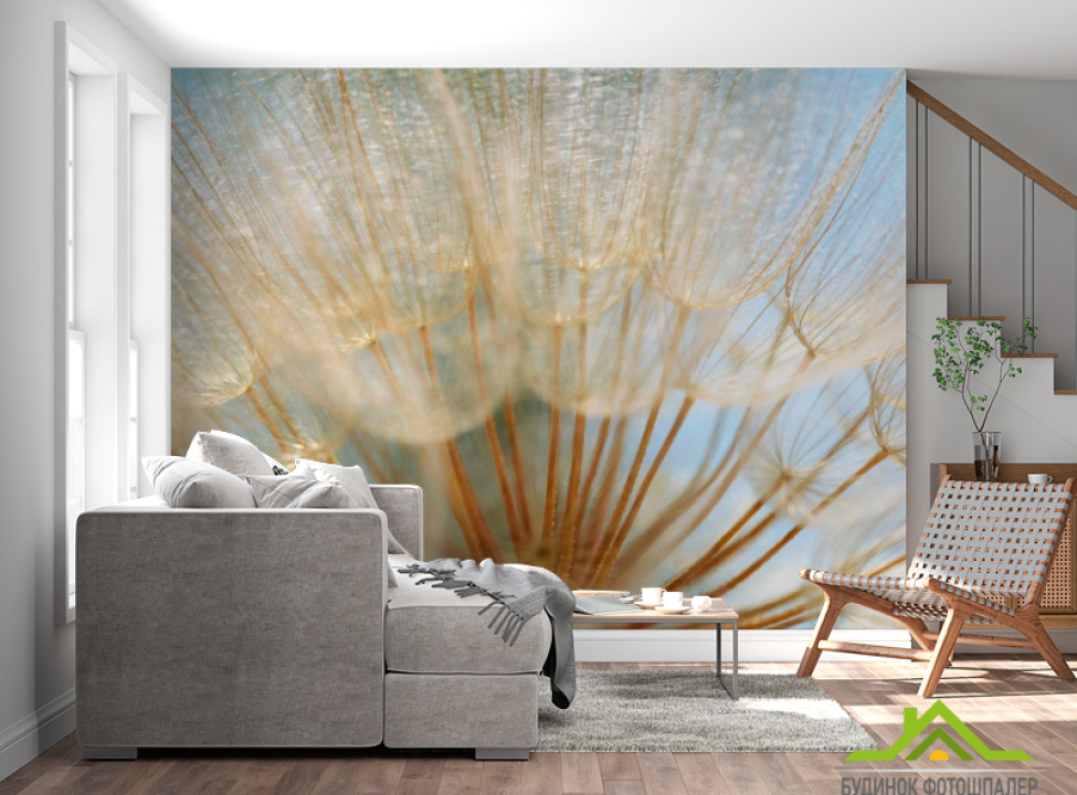 выбрать Фотообои Макро-сьемка одуванчик Фотообои Одуванчики на стену