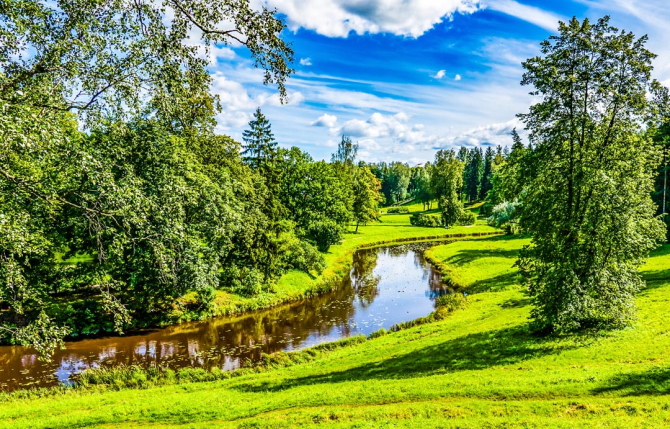 Фотошпалери листя в річках на галявині
