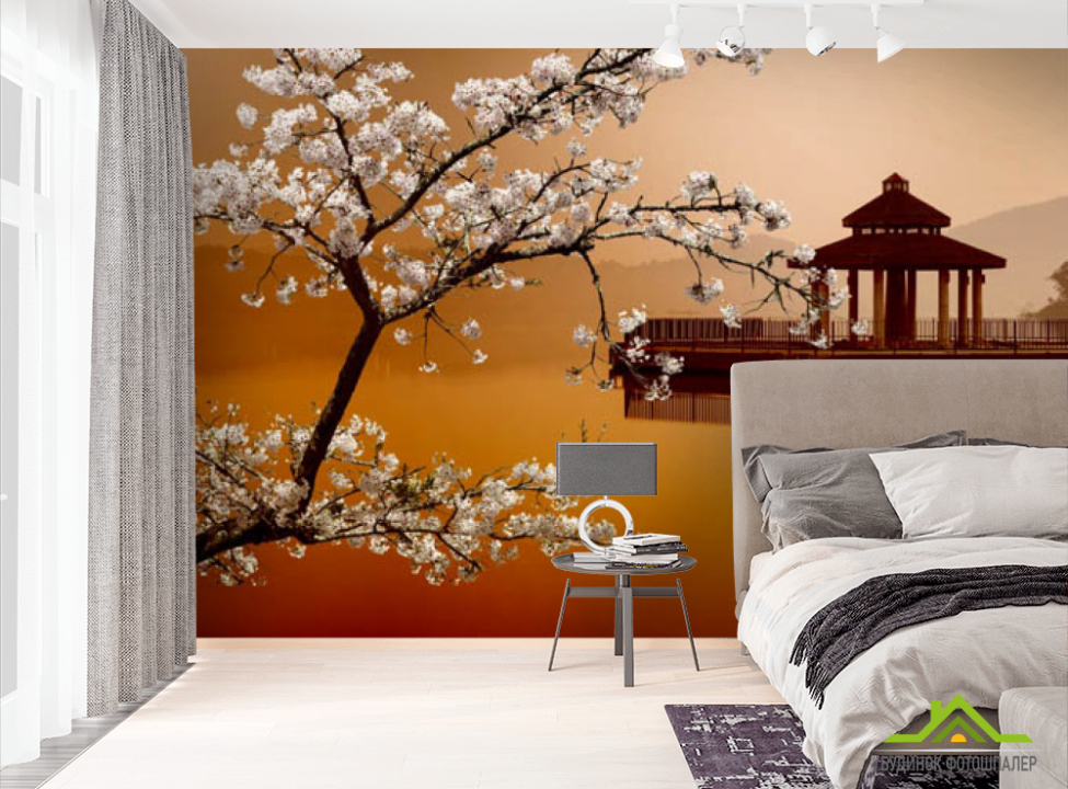 выбрать Фотошпалери сакура Фотошпалери різні на стіну