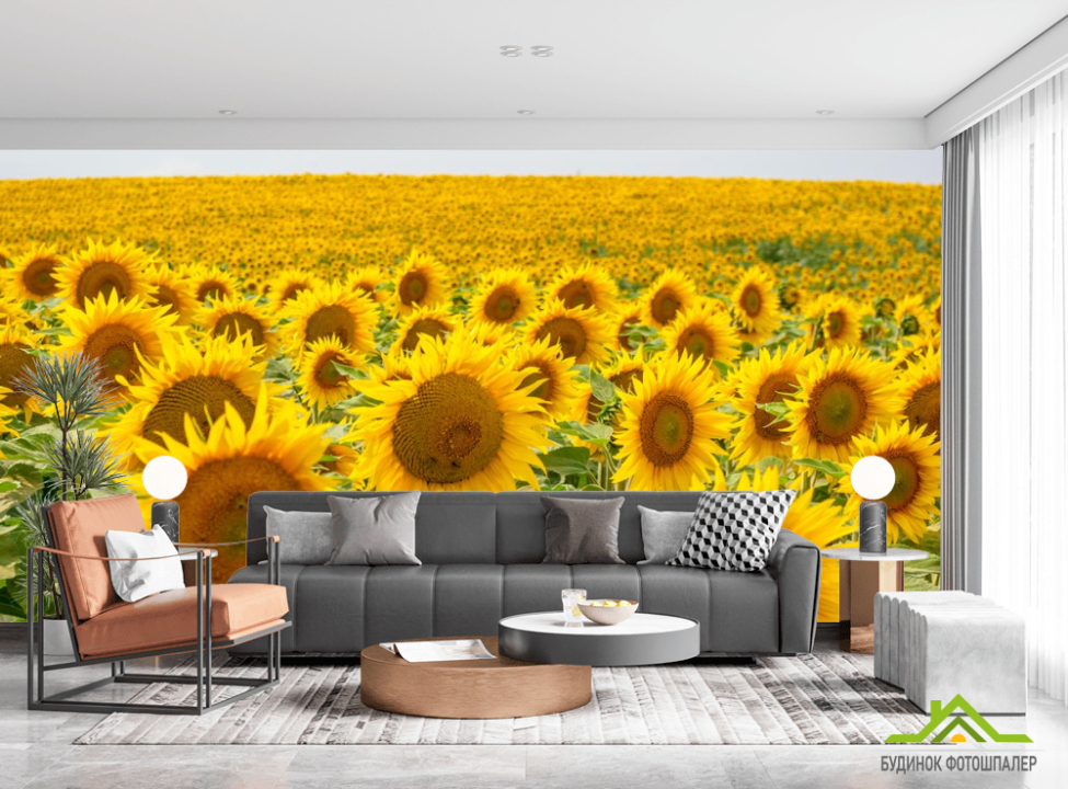 выбрать Фотообои поле с подсолнухами Фотообои подсолнухи на стену