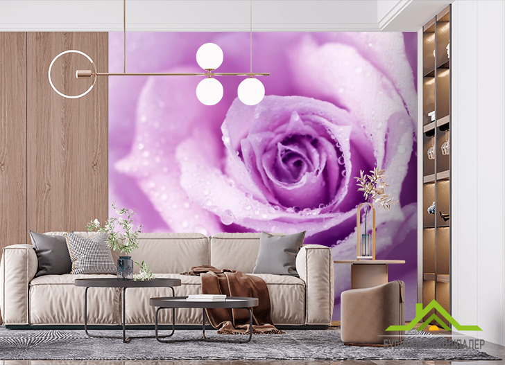 Фотошпалери троянда