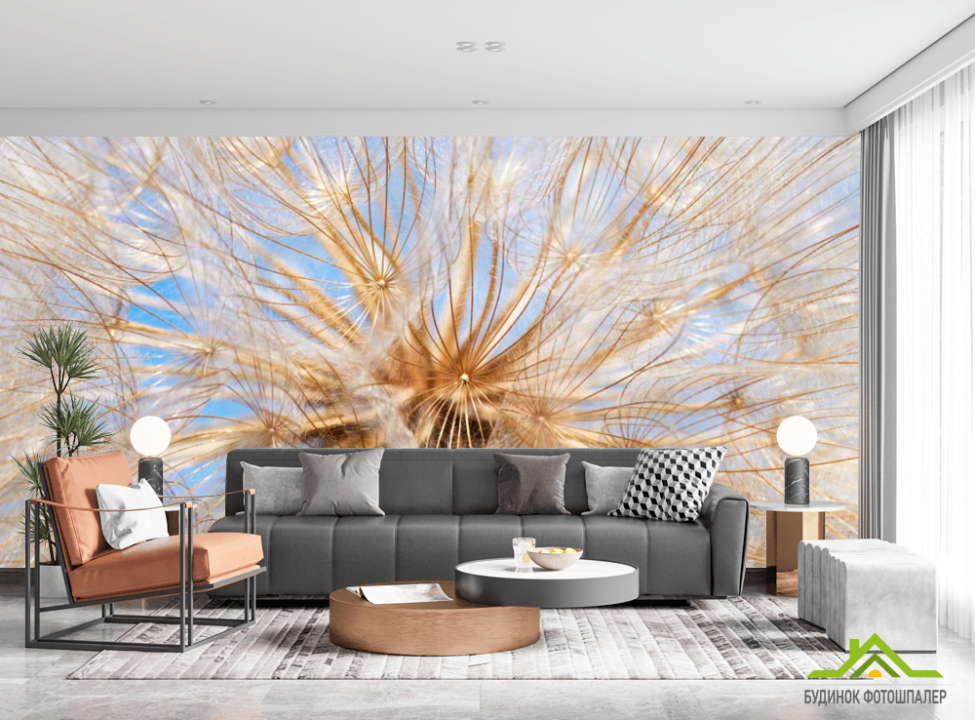 выбрать Фотообои Одуванчик Фотообои Цветы на стену