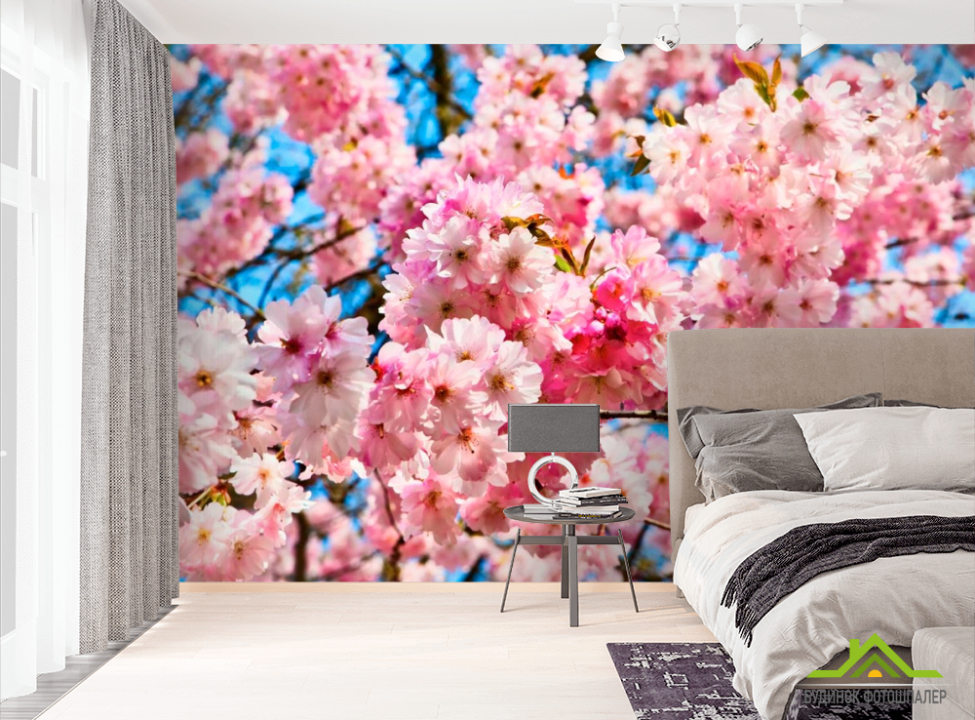 выбрать Фотообои Цветение розового дерева Фотообои Цветы на стену