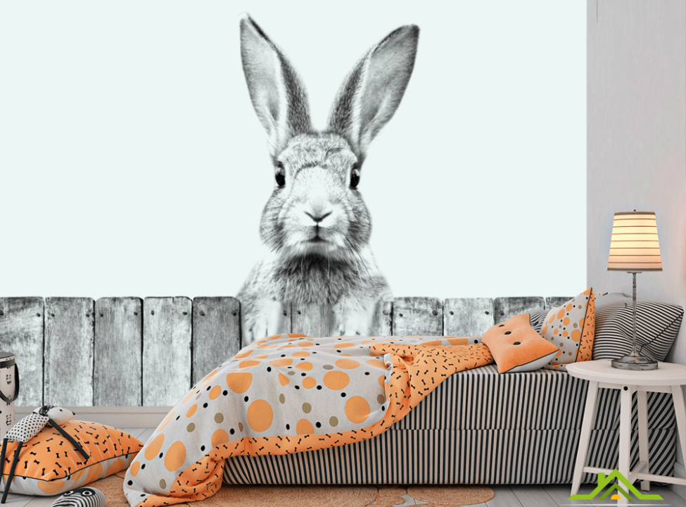выбрать Фотообои Милый кролик Фотообои в детскую на стену