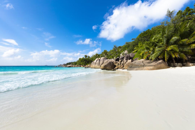 Фотообои холм с пальмами на берегу