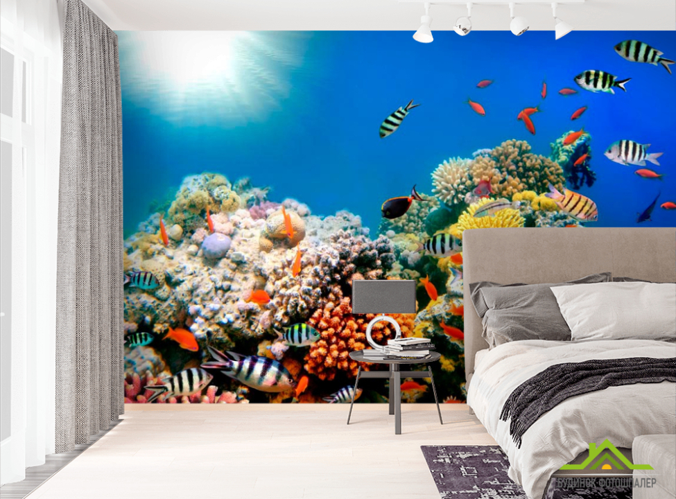 выбрать Фотошпалери Рибний косяк Фотошпалери Риби і море на стіну