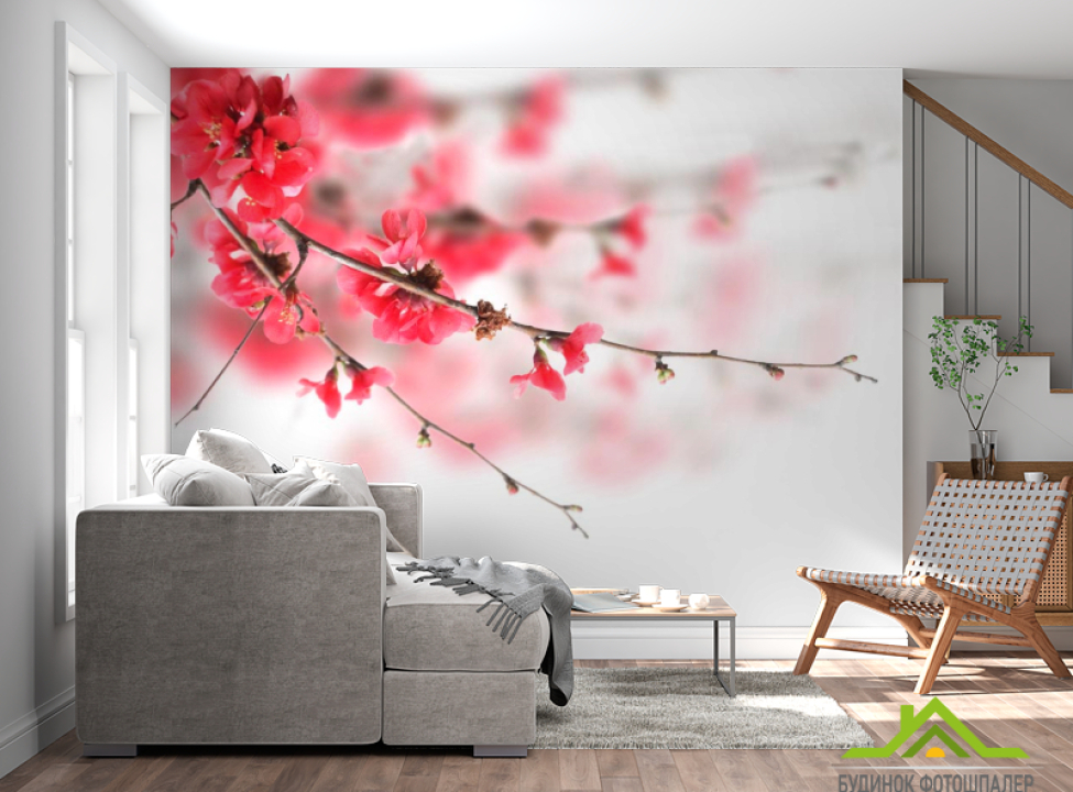 выбрать Фотообои Красное цветущее дерево Фотообои Цветы на стену