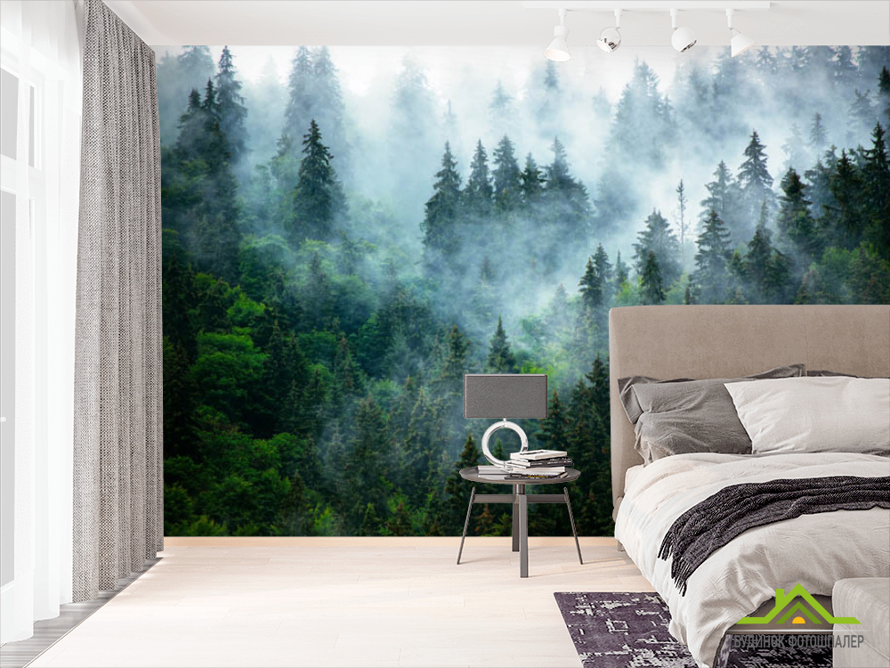 Фотошпалери ліс в тумані