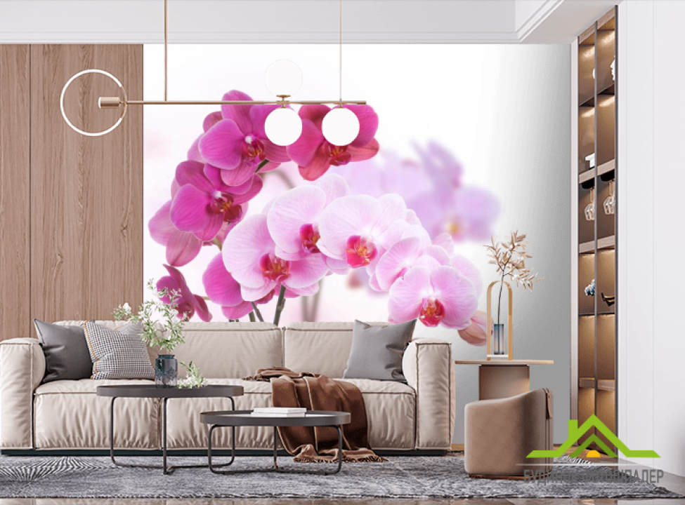 выбрать Фотошпалери Білі і рожеві орхідеї Фотошпалери Квіти на стіну