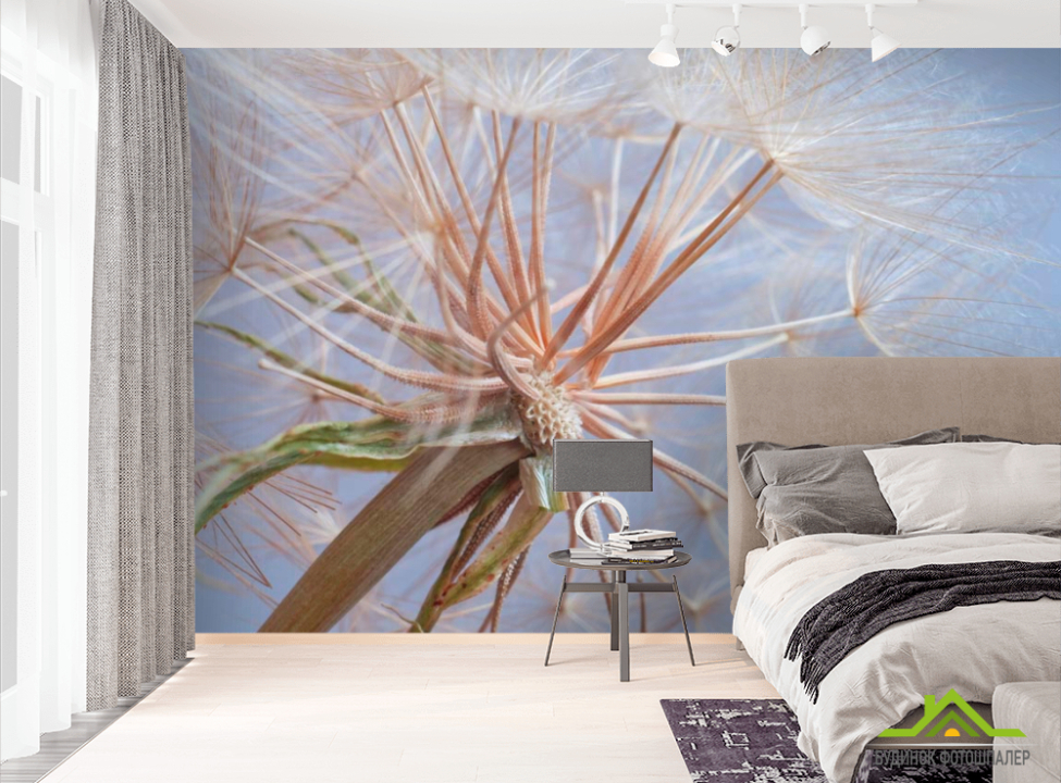 выбрать Фотообои Отцвевший одуванчик Фотообои Одуванчики на стену