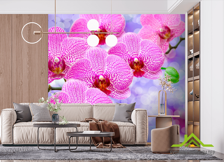Фотообои Орхидеи распустились розовые