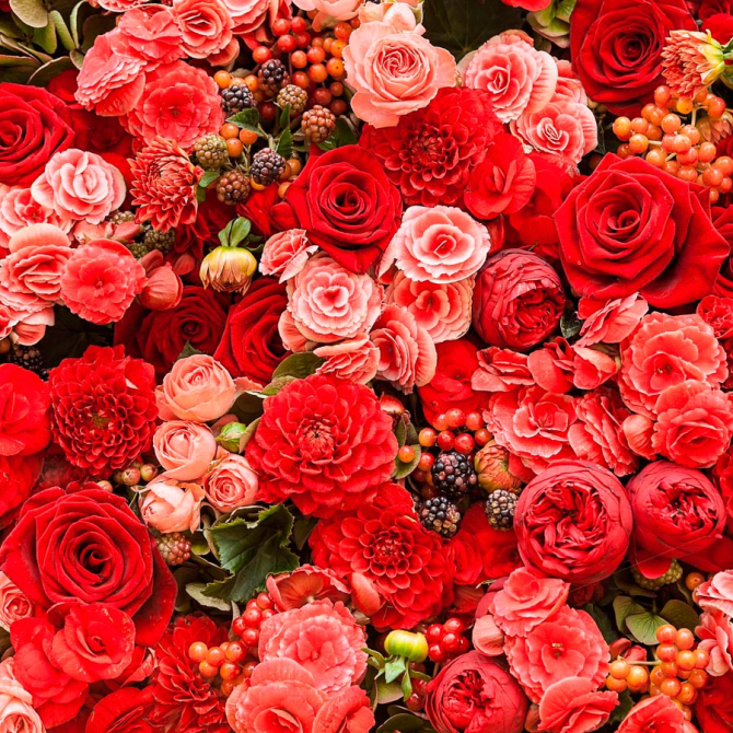 Фотообои Букет алых цветов