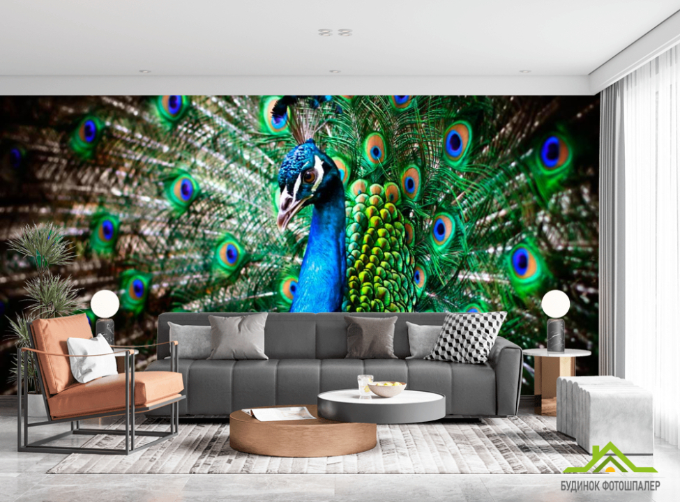 выбрать Фотошпалери Красень павич Фотошпалери Птиці на стіну