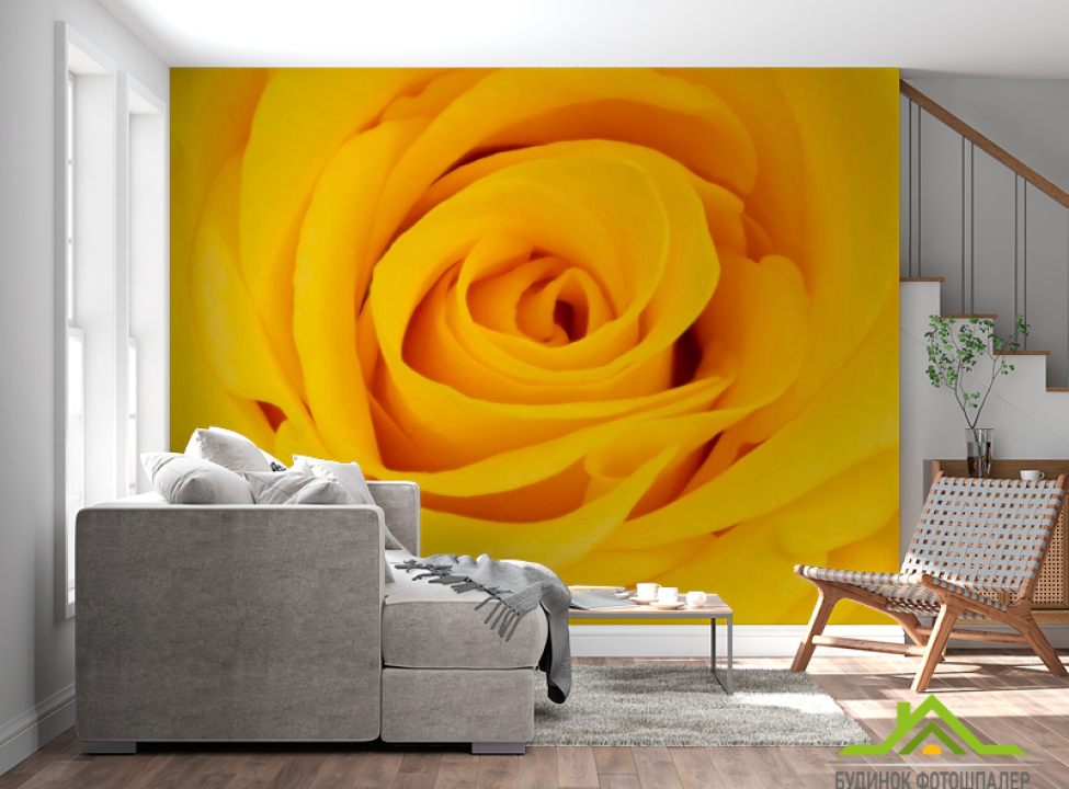 выбрать Фотообои желтая роза Фотообои Розы на стену