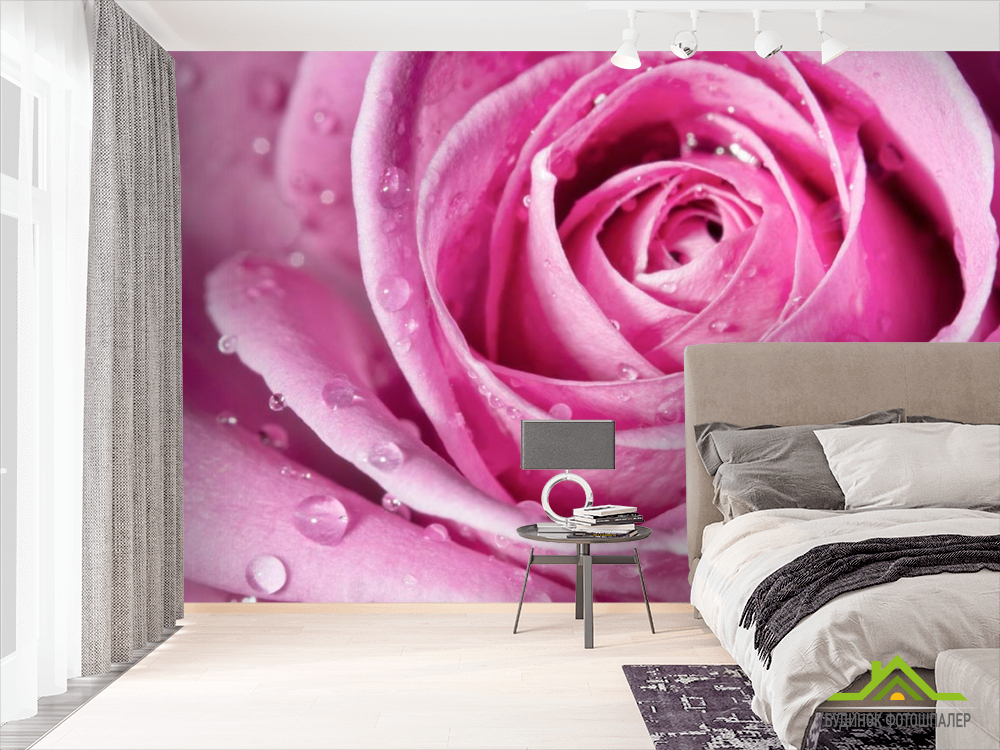 Фотошпалери Роса на розі