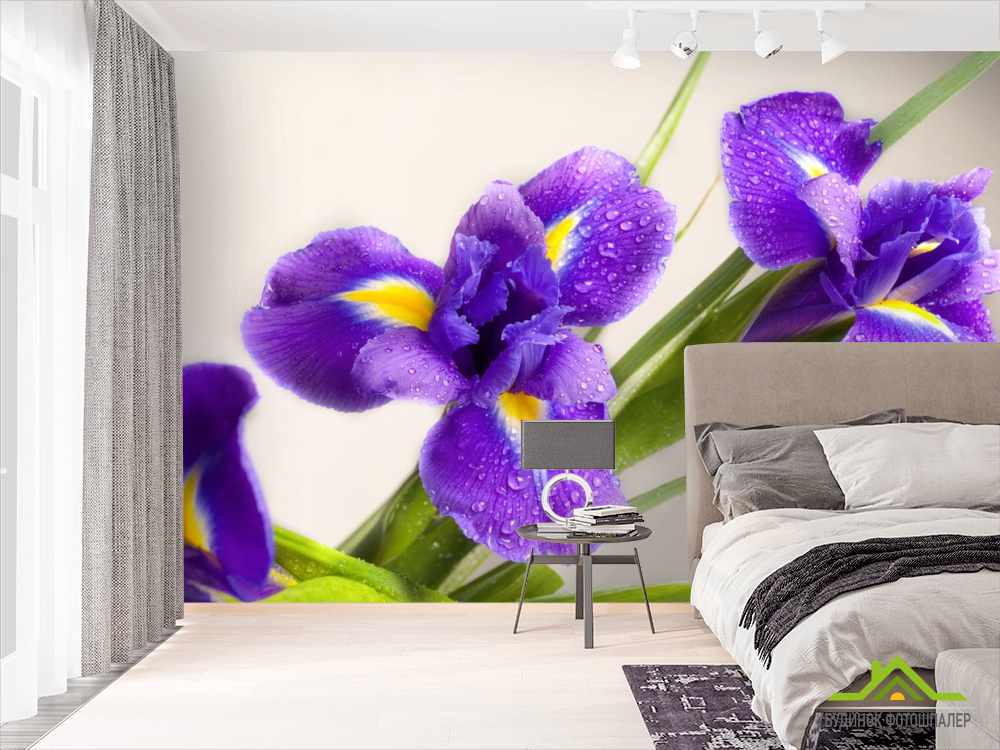 Фотообои синий цветок