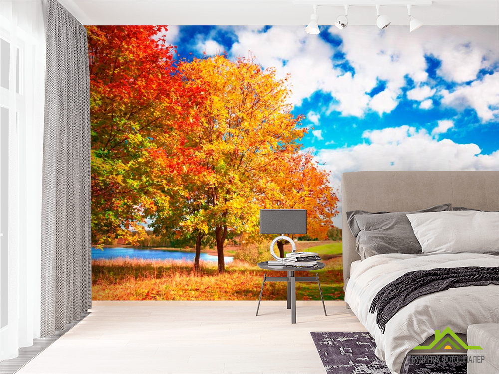 Фотошпалери Осінь, дерева