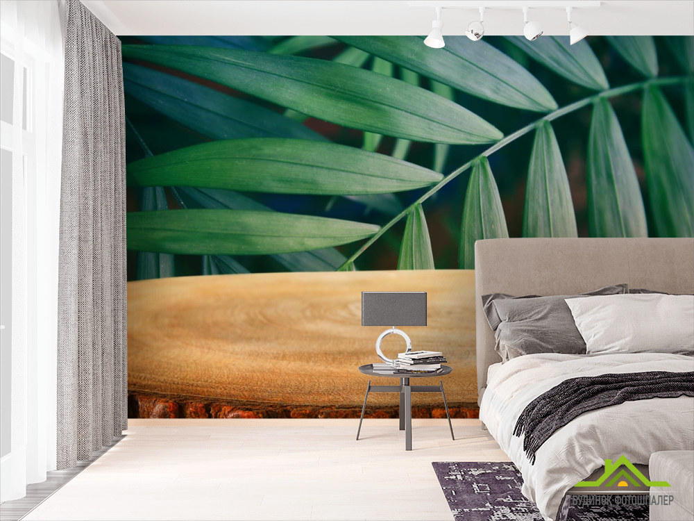 Фотообои пенек в лесу